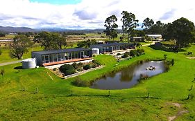 Pelican Point Sanctuary